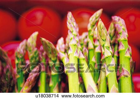 Picture - Fruits and vegetables, Fruits and vegetables background, Fruits and vegetables backgrounds, Background, Vegetable, Vegetable background, Tomato. Fotosearch