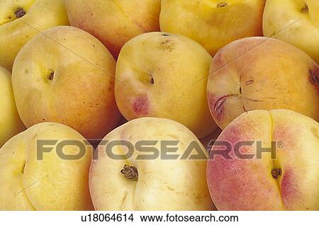 Picture - Fruits and vegetables, Fruits and vegetables background, Fruits and vegetables backgrounds, Background, Fruit, Fruits, Fruit background. Fotosearch