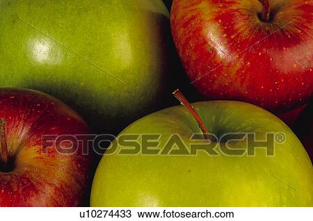 Fruits and vegetables, Fruits and vegetables background, Fruits and vegetables backgrounds, Background, Fruit, Fruits, Fruit background View Large Photo Image Stock Image - Fruits and vegetables, Fruits and vegetables background, Fruits and vegetables backgrounds, Background, Fruit, Fruits, Fruit background. Fotosearch