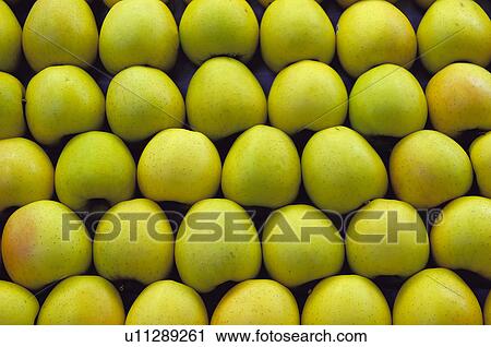 Stock Image - Fruits and vegetables, Fruits and vegetables background, Fruits and vegetables backgrounds, Background, Fruit, Fruit background, Apple. Fotosearch