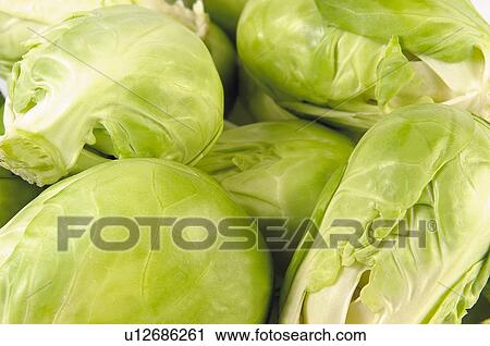 Fruits and vegetables, Fruits and vegetables background, Fruits and vegetables backgrounds, Background, Vegetable, Vegetable background, Cabbage View Large Photo Image Stock Image - Fruits and vegetables, Fruits and vegetables background, Fruits and vegetables backgrounds, Background, Vegetable, Vegetable background, Cabbage. Fotosearch