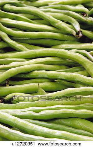 Fruits and vegetables, Fruits and vegetables background, Fruits and vegetables backgrounds, Background, Vegetable, Vegetable background, Pea View Large Photo Image Stock Image - Fruits and vegetables, Fruits and vegetables background, Fruits and vegetables backgrounds, Background, Vegetable, Vegetable background, Pea. Fotosearch