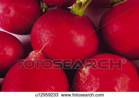 Stock Image - Fruits and vegetables, Fruits and vegetables background, Fruits and vegetables backgrounds, Background, Vegetable, Vegetable background, Radish. Fotosearch