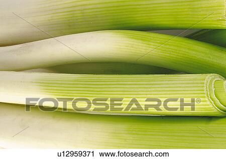 Fruits and vegetables, Fruits and vegetables background, Fruits and vegetables backgrounds, Background, Vegetable, Vegetable background, Leek View Large Photo Image Stock Image - Fruits and vegetables, Fruits and vegetables background, Fruits and vegetables backgrounds, Background, Vegetable, Vegetable background, Leek. Fotosearch