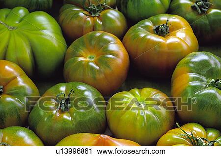 Stock Image - Fruits and vegetables, Fruits and vegetables background, Fruits and vegetables backgrounds, Background, Vegetable, Vegetable background, Tomato. Fotosearch