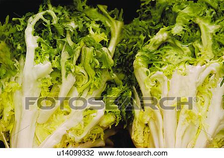 Stock Image - Fruits and vegetables, Fruits and vegetables background, Fruits and vegetables backgrounds, Background, Vegetable, Vegetable background, Curly endive. Fotosearch