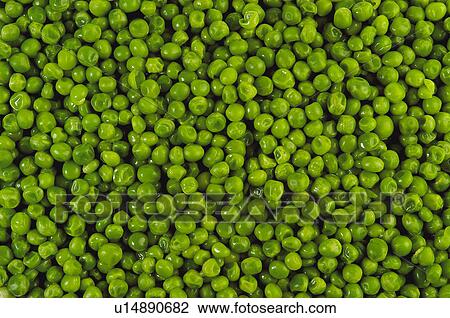 Fruits and vegetables, Fruits and vegetables background, Fruits and vegetables backgrounds, Background, Vegetable, Vegetable background, Pea View Large Photo Image Stock Image - Fruits and vegetables, Fruits and vegetables background, Fruits and vegetables backgrounds, Background, Vegetable, Vegetable background, Pea. Fotosearch
