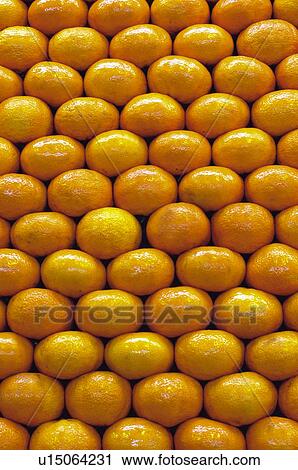 Fruits and vegetables, Fruits and vegetables background, Fruits and vegetables backgrounds, Background, Fruit, Fruit background, Orange View Large Photo Image Stock Image - Fruits and vegetables, Fruits and vegetables background, Fruits and vegetables backgrounds, Background, Fruit, Fruit background, Orange. Fotosearch