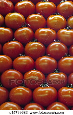 Stock Image - Fruits and vegetables, Fruits and vegetables background, Fruits and vegetables backgrounds, Background, Vegetable, Vegetable background, Tomato. Fotosearch