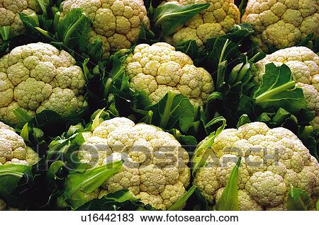 Stock Image - Fruits and vegetables, Fruits and vegetables background, Fruits and vegetables backgrounds, Background, Vegetable, Vegetable background, Cauliflower. Fotosearch