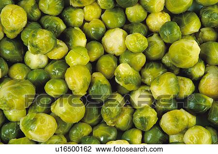 Stock Image - Fruits and vegetables, Fruits and vegetables background, Fruits and vegetables backgrounds, Background, Vegetable, Vegetable background, Cabbage. Fotosearch