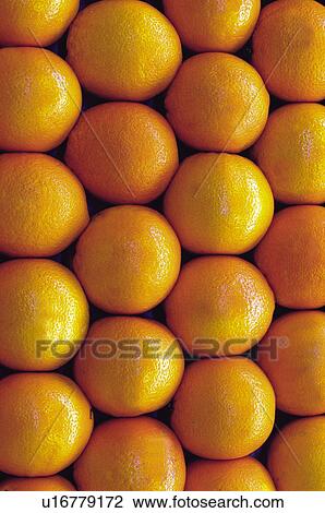 Fruits and vegetables, Fruits and vegetables background, Fruits and vegetables backgrounds, Background, Fruit, Fruit background, Orange View Large Photo Image Stock Image - Fruits and vegetables, Fruits and vegetables background, Fruits and vegetables backgrounds, Background, Fruit, Fruit background, Orange. Fotosearch