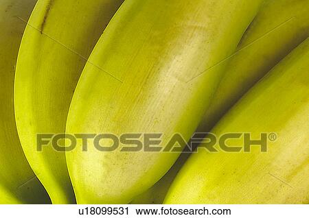 Stock Image - Fruits and vegetables, Fruits and vegetables background, Fruits and vegetables backgrounds, Background, Fruit, Fruits, Fruit background. Fotosearch