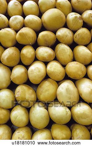 Stock Image - Fruits and vegetables, Fruits and vegetables background, Fruits and vegetables backgrounds, Background, Vegetable, Vegetable background, Potato. Fotosearch