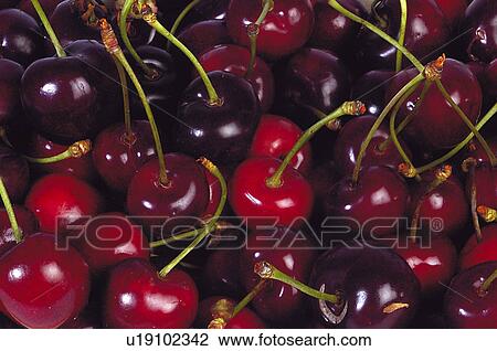 Stock Image - Fruits and vegetables, Fruits and vegetables background, Fruits and vegetables backgrounds, Background, Fruit, Fruits, Fruit background. Fotosearch