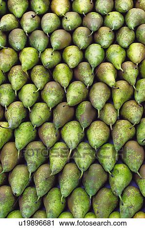 Fruits and vegetables, Fruits and vegetables background, Fruits and vegetables backgrounds, Background, Fruit, Fruit background, Pear View Large Photo Image Stock Image - Fruits and vegetables, Fruits and vegetables background, Fruits and vegetables backgrounds, Background, Fruit, Fruit background, Pear. Fotosearch
