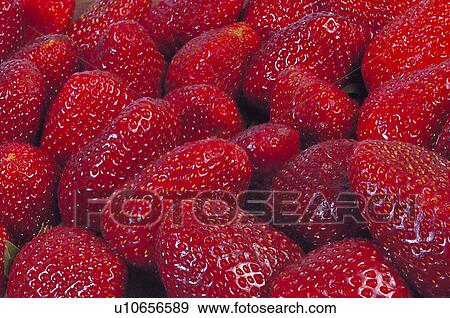 Stock Photo - Fruits and vegetables, Fruits and vegetables background, Fruits and vegetables backgrounds, Background, Fruit, Fruits, Fruit background. Fotosearch