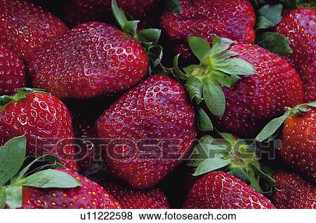 Fruits and vegetables, Fruits and vegetables background, Fruits and vegetables backgrounds, Background, Fruit, Fruits, Fruit background View Large Photo Image Stock Photo - Fruits and vegetables, Fruits and vegetables background, Fruits and vegetables backgrounds, Background, Fruit, Fruits, Fruit background. Fotosearch