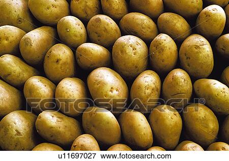 Fruits and vegetables, Fruits and vegetables background, Fruits and vegetables backgrounds, Background, Vegetable, Vegetable background, Potato View Large Photo Image Stock Photo - Fruits and vegetables, Fruits and vegetables background, Fruits and vegetables backgrounds, Background, Vegetable, Vegetable background, Potato. Fotosearch