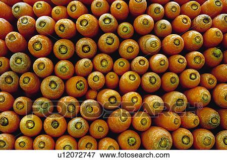 Fruits and vegetables, Fruits and vegetables background, Fruits and vegetables backgrounds, Background, Vegetable, Vegetable background, Carrot View Large Photo Image Stock Photo - Fruits and vegetables, Fruits and vegetables background, Fruits and vegetables backgrounds, Background, Vegetable, Vegetable background, Carrot. Fotosearch