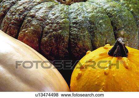 Fruits and vegetables, Fruits and vegetables background, Fruits and vegetables backgrounds, Background, Vegetable, Vegetable background, Pumpkin View Large Photo Image Stock Photo - Fruits and vegetables, Fruits and vegetables background, Fruits and vegetables backgrounds, Background, Vegetable, Vegetable background, Pumpkin. Fotosearch