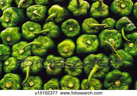 Fruits and vegetables, Fruits and vegetables background, Fruits and vegetables backgrounds, Background, Vegetable, Vegetable background, Pepper View Large Photo Image Stock Photo - Fruits and vegetables, Fruits and vegetables background, Fruits and vegetables backgrounds, Background, Vegetable, Vegetable background, Pepper. Fotosearch