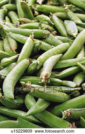 Stock Photo - Fruits and vegetables, Fruits and vegetables background, Fruits and vegetables backgrounds, Background, Vegetable, Vegetable background, Pea. Fotosearch