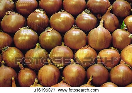 Stock Photo - Fruits and vegetables, Fruits and vegetables background, Fruits and vegetables backgrounds, Background, Vegetable, Vegetable background, Onion. Fotosearch