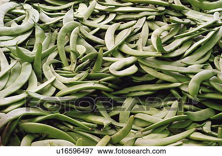 Fruits and vegetables, Fruits and vegetables background, Fruits and vegetables backgrounds, Background, Vegetable, Vegetable background, Bean View Large Photo Image Stock Photo - Fruits and vegetables, Fruits and vegetables background, Fruits and vegetables backgrounds, Background, Vegetable, Vegetable background, Bean. Fotosearch