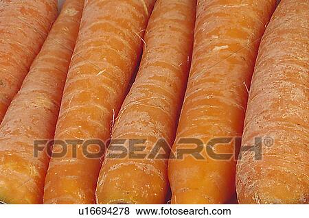 Stock Photo - Fruits and vegetables, Fruits and vegetables background, Fruits and vegetables backgrounds, Background, Vegetable, Vegetable background, Carrot. Fotosearch