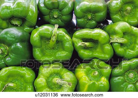 Fruits and vegetables, Fruits and vegetables background, Fruits and vegetables backgrounds, Background, Vegetable, Vegetable background, Pepper View Large Photo Image Stock Photograph - Fruits and vegetables, Fruits and vegetables background, Fruits and vegetables backgrounds, Background, Vegetable, Vegetable background, Pepper. Fotosearch