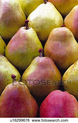 Fruits and vegetables, Fruits and vegetables background, Fruits and vegetables backgrounds, Background, Fruit, Fruit background, Pear View Large Photo Image Stock Photograph - Fruits and vegetables, Fruits and vegetables background, Fruits and vegetables backgrounds, Background, Fruit, Fruit background, Pear. Fotosearch