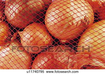 Fruits and vegetables, Fruits and vegetables background, Fruits and vegetables backgrounds, Background, Vegetable, Vegetable background, Onion View Large Photo Image Stock Photography - Fruits and vegetables, Fruits and vegetables background, Fruits and vegetables backgrounds, Background, Vegetable, Vegetable background, Onion. Fotosearch