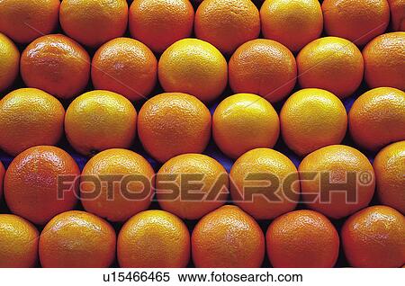 Stock Photography - Fruits and vegetables, Fruits and vegetables background, Fruits and vegetables backgrounds, Background, Fruit, Fruit background, Orange. Fotosearch