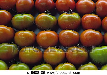 Fruits and vegetables, Fruits and vegetables background, Fruits and vegetables backgrounds, Background, Vegetable, Vegetable background, Tomato View Large Photo Image Stock Photography - Fruits and vegetables, Fruits and vegetables background, Fruits and vegetables backgrounds, Background, Vegetable, Vegetable background, Tomato. Fotosearch