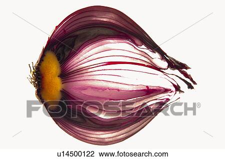 Stock Image - Fruits and vegetables, Creative, Creative fruits and vegetables, Food, Garlic, Clove of garlic, One. Fotosearch