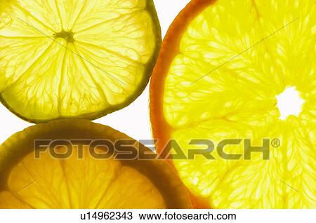 Fruits and vegetables, Creative, Creative fruits and vegetables, Food, Fruit, Fruits, Orange View Large Photo Image Stock Image - Fruits and vegetables, Creative, Creative fruits and vegetables, Food, Fruit, Fruits, Orange. Fotosearch