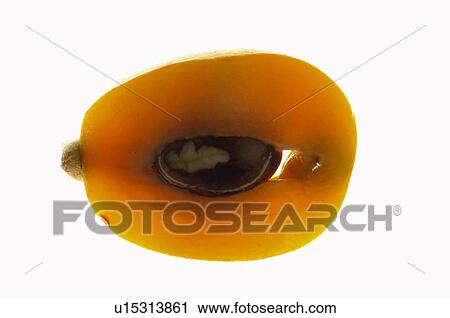 Stock Image - Fruits and vegetables, Creative, Creative fruits and vegetables, Food, Fruit, Medlar, Cut. Fotosearch