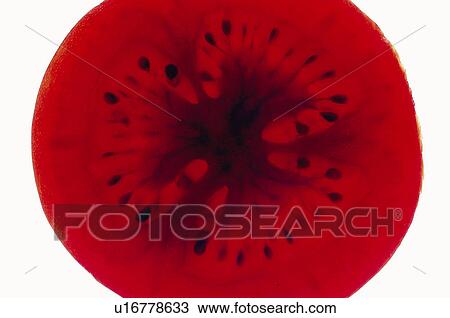 Fruits and vegetables, Creative, Creative fruits and vegetables, Food, Vegetable, Tomato, Cut View Large Photo Image Stock Image - Fruits and vegetables, Creative, Creative fruits and vegetables, Food, Vegetable, Tomato, Cut. Fotosearch