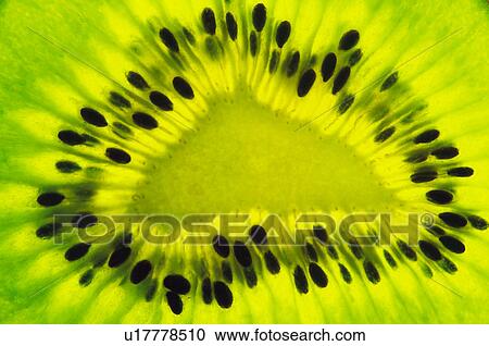 Fruits and vegetables, Creative, Creative fruits and vegetables, Food, Fruit, Kiwi, Kiwi fruit View Large Photo Image Stock Image - Fruits and vegetables, Creative, Creative fruits and vegetables, Food, Fruit, Kiwi, Kiwi fruit. Fotosearch