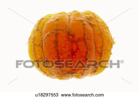 Fruits and vegetables, Creative, Creative fruits and vegetables, Food, Fruit, Mandarin, Tangerine View Large Photo Image Stock Image - Fruits and vegetables, Creative, Creative fruits and vegetables, Food, Fruit, Mandarin, Tangerine. Fotosearch