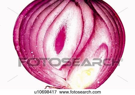 Stock Photo - Fruits and vegetables, Creative, Creative fruits and vegetables, Food, Vegetable, Onion, Cut. Fotosearch