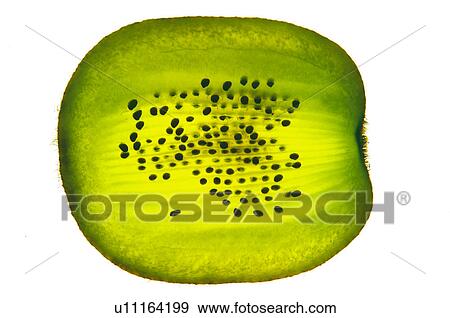 Fruits and vegetables, Creative, Creative fruits and vegetables, Food, Fruit, Kiwi, Kiwi fruit View Large Photo Image Stock Photo - Fruits and vegetables, Creative, Creative fruits and vegetables, Food, Fruit, Kiwi, Kiwi fruit. Fotosearch