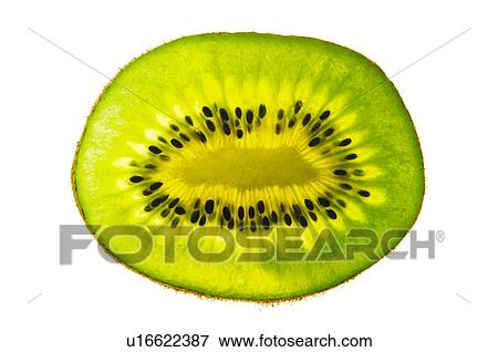 Fruits and vegetables, Creative, Creative fruits and vegetables, Food, Fruit, Kiwi, Kiwi fruit View Large Photo Image Stock Photo - Fruits and vegetables, Creative, Creative fruits and vegetables, Food, Fruit, Kiwi, Kiwi fruit. Fotosearch