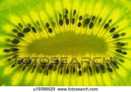 Fruits and vegetables, Creative, Creative fruits and vegetables, Food, Fruit, Kiwi, Kiwi fruit View Large Photo Image Stock Photo - Fruits and vegetables, Creative, Creative fruits and vegetables, Food, Fruit, Kiwi, Kiwi fruit. Fotosearch