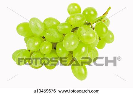 Fruits and vegetables, Creative, Creative fruits and vegetables, Food, Fruit, Grape, Grapes View Large Photo Image Stock Photograph - Fruits and vegetables, Creative, Creative fruits and vegetables, Food, Fruit, Grape, Grapes. Fotosearch