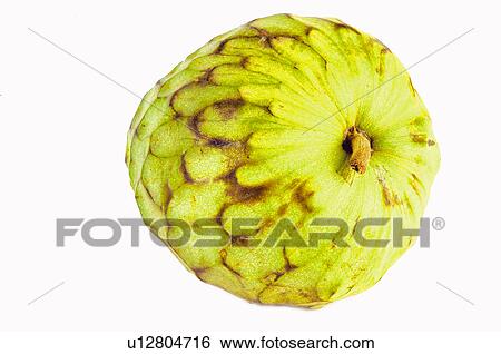 Stock Photograph - Fruits and vegetables, Creative, Creative fruits and vegetables, Food, Fruit, Custard apple, Cherimoya. Fotosearch