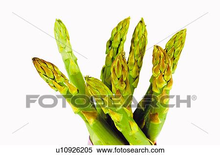 Stock Photography - Fruits and vegetables, Creative, Creative fruits and vegetables, Food, Vegetable, Asparagus, Green. Fotosearch