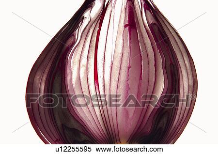 Fruits and vegetables, Creative, Creative fruits and vegetables, Food, Vegetable, Onion, Cut View Large Photo Image Stock Photography - Fruits and vegetables, Creative, Creative fruits and vegetables, Food, Vegetable, Onion, Cut. Fotosearch