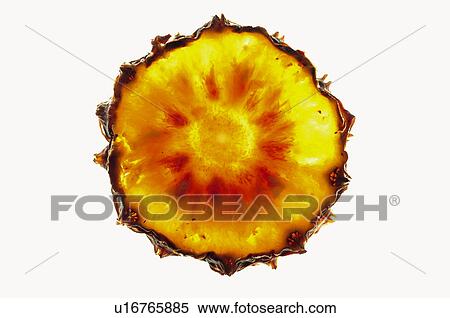 Fruits and vegetables, Creative, Creative fruits and vegetables, Food, Fruit, Slice, Pineapple View Large Photo Image Stock Photography - Fruits and vegetables, Creative, Creative fruits and vegetables, Food, Fruit, Slice, Pineapple. Fotosearch